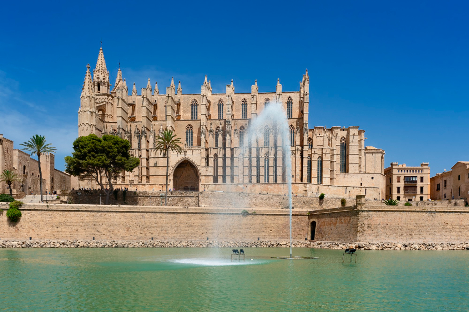 Catedral de Mallorca | La Seu | Qué ver en Mallorca
