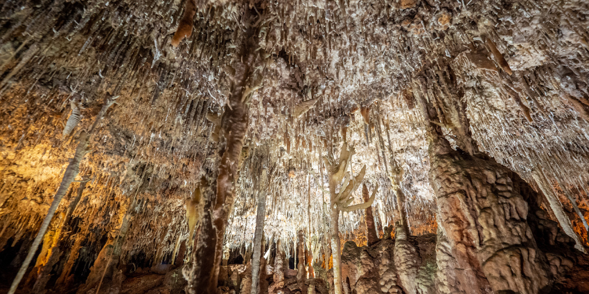 ¿Cómo se forman las estalactitas y estalagmitas_ La geología de las Cuevas del Hams