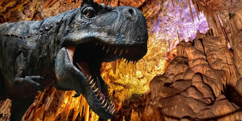 DinosCaves-Mallorca-la-experiencia-completa-de-las-dos-atracciones