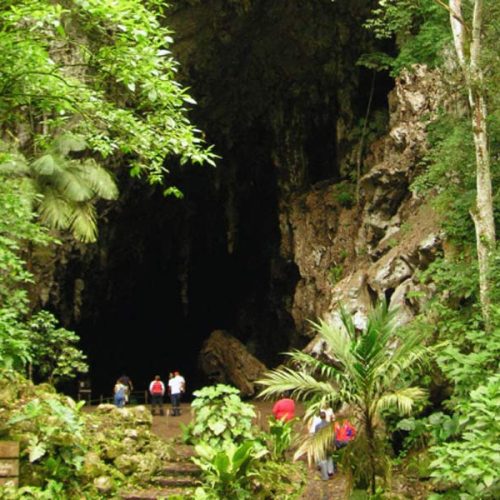 Cuevas del Guácharo (Venezuela) | Cuevas del Hams